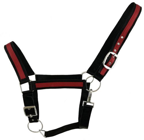 Black Draft horse size nylon halter with accent color #3